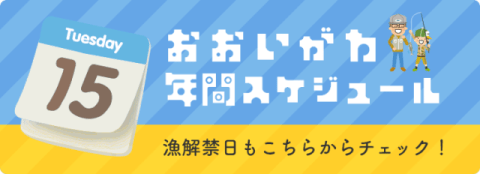 大井川 年間スケジュール